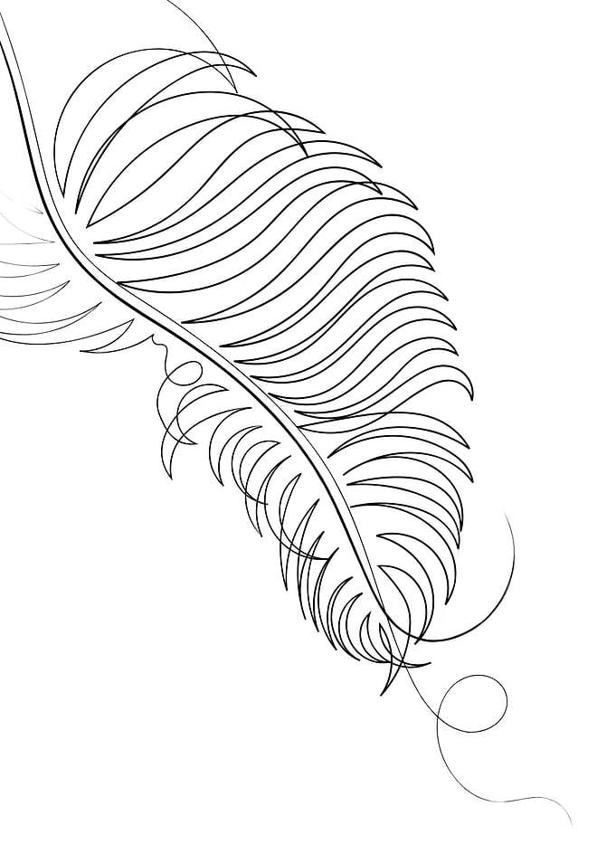 Palm Leaf Line Drawing