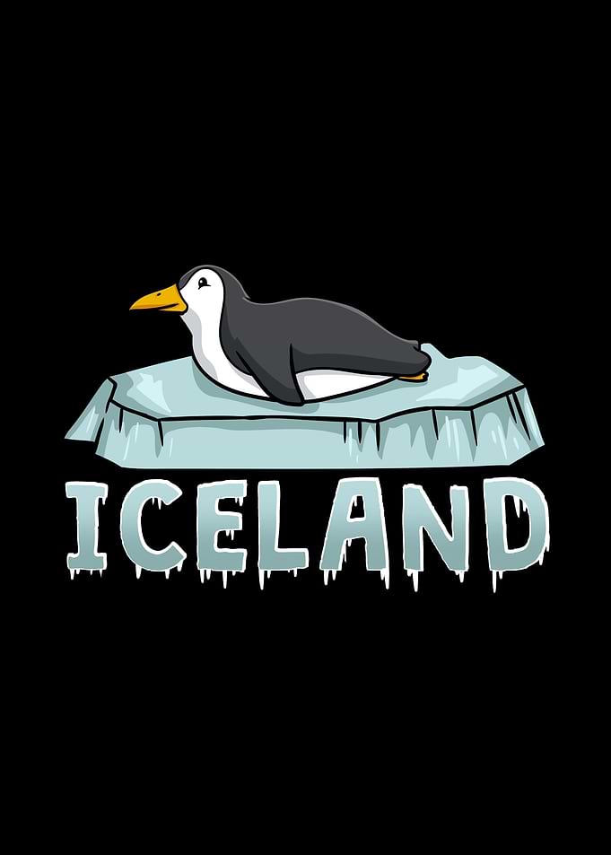 Iceland Puffin Icelandic T