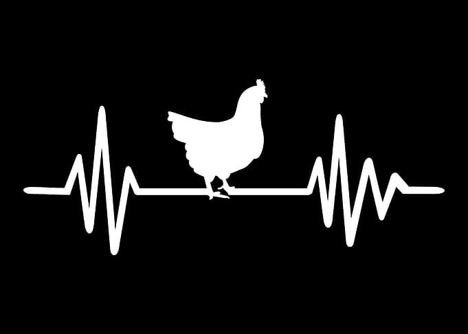 Hen