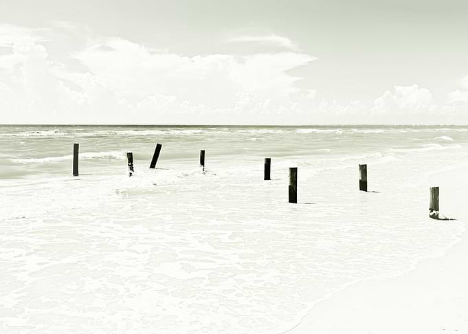Ocean View Vintage