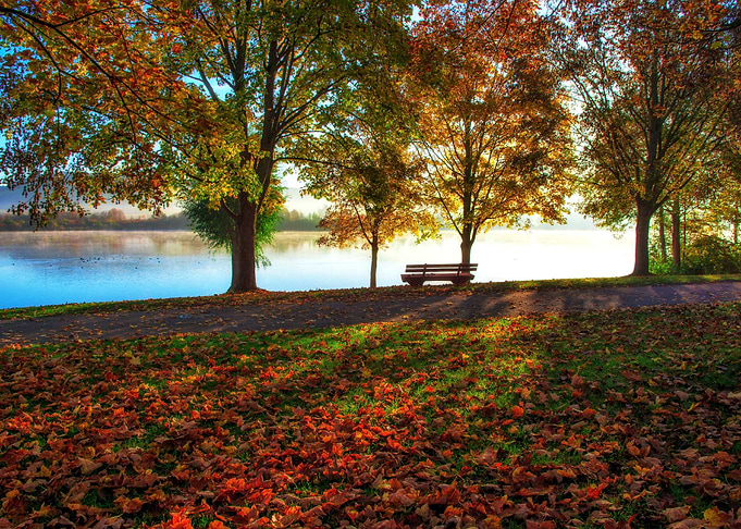 Beautiful park in the fall