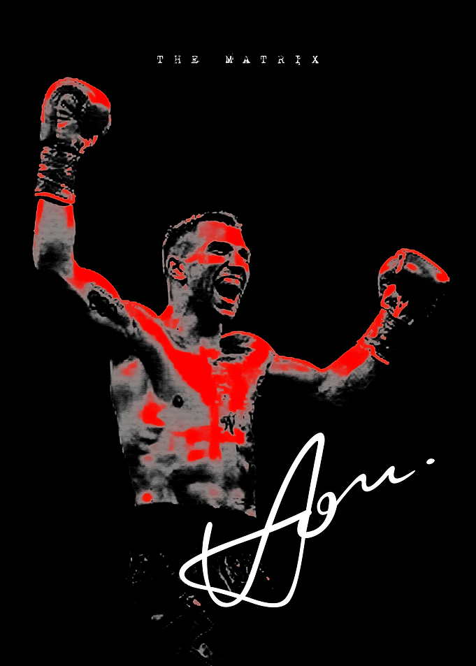 Boxing Vasyl Lomachenko