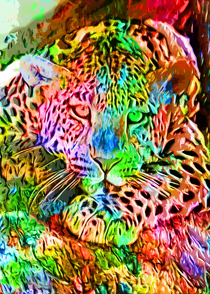 Lazy Leopard