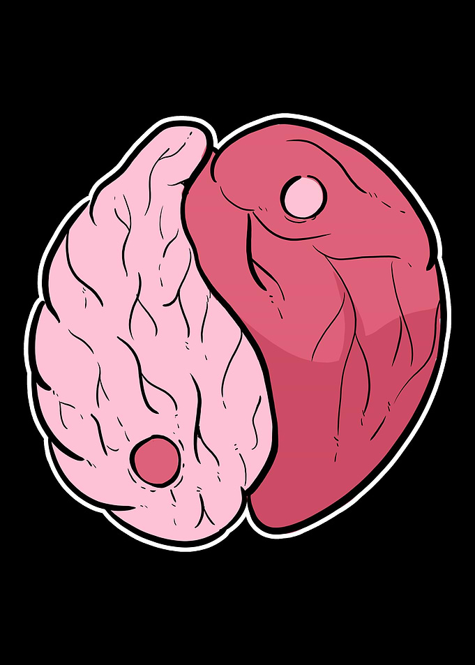 Heart Brain Yin Yang Lover