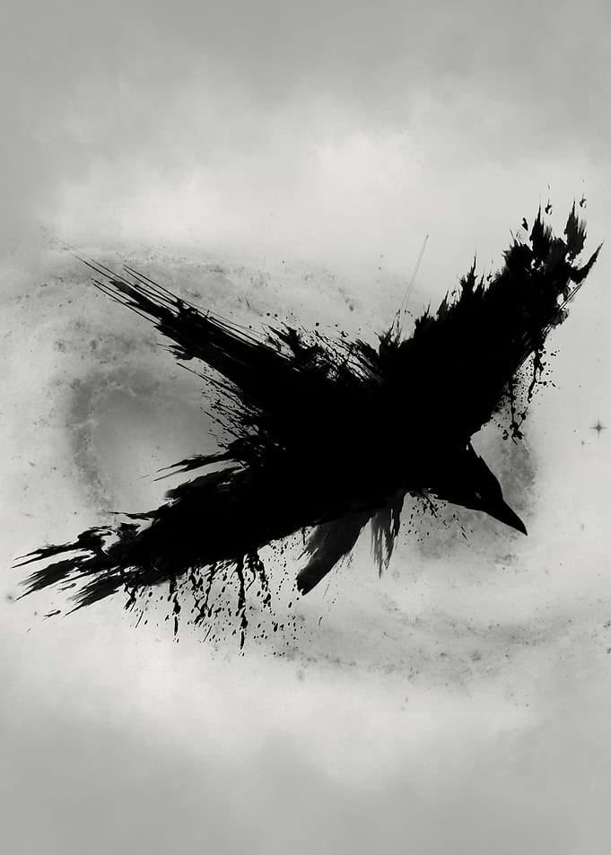 Black Bird