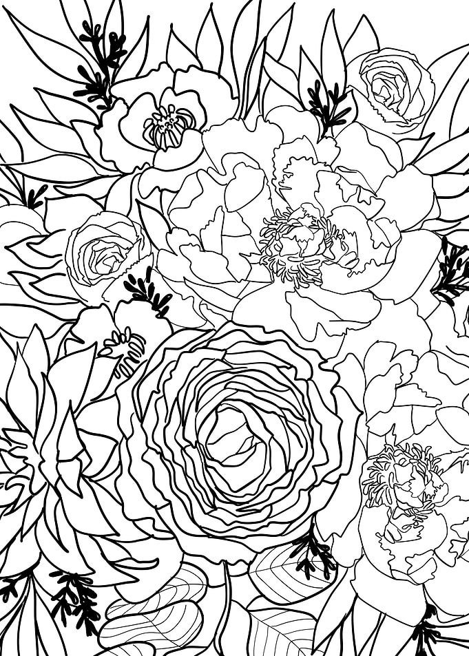 Nanette black line art