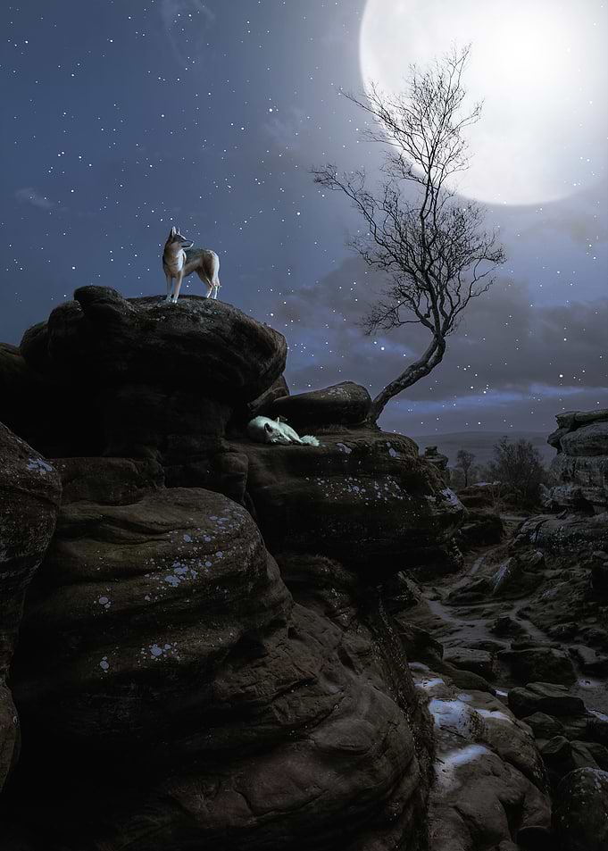 Wolf Rock
