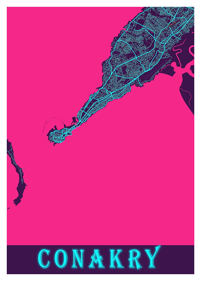 Conakry Neon City Map