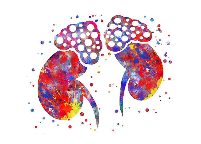Adrenal gland