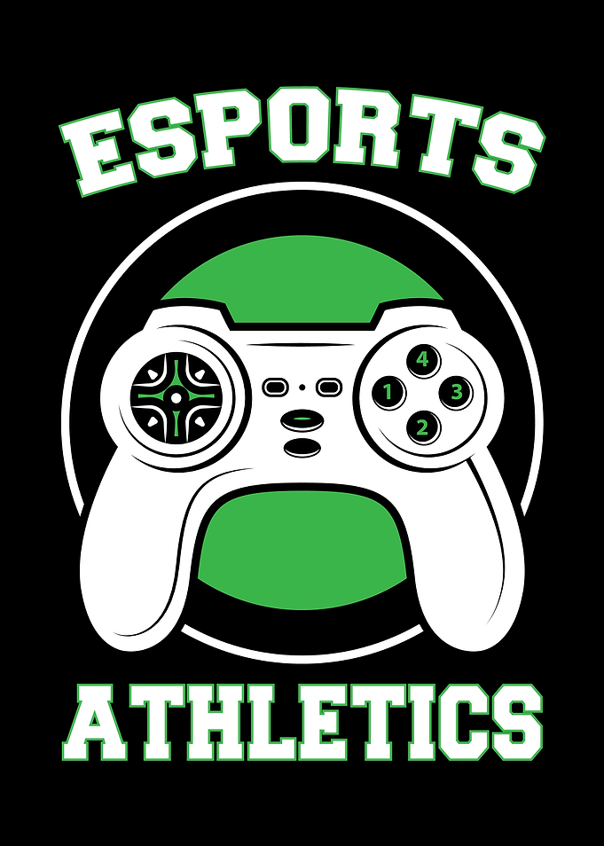 Gamer Gamer Gift Gaming