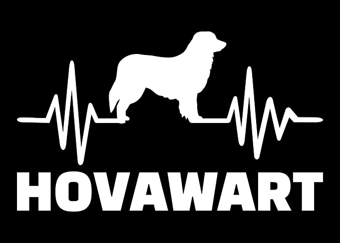 Hovawart