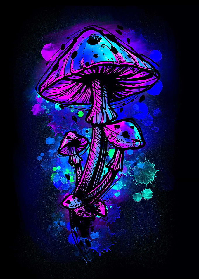 Psychedelic Mushrooms