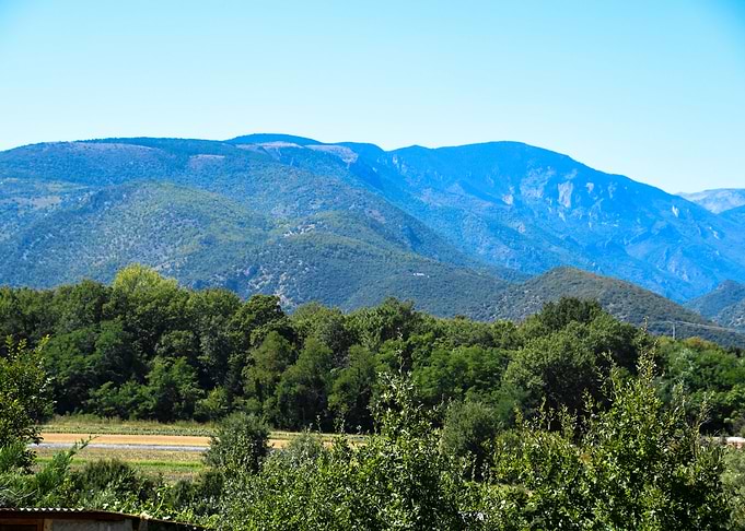 Mountain behind a forest