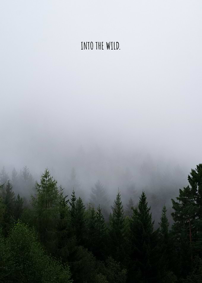 Into the Wild
