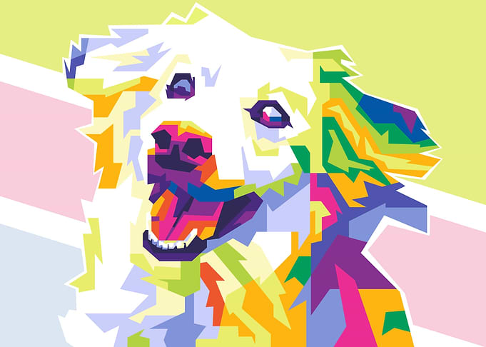 Dog Wpap
