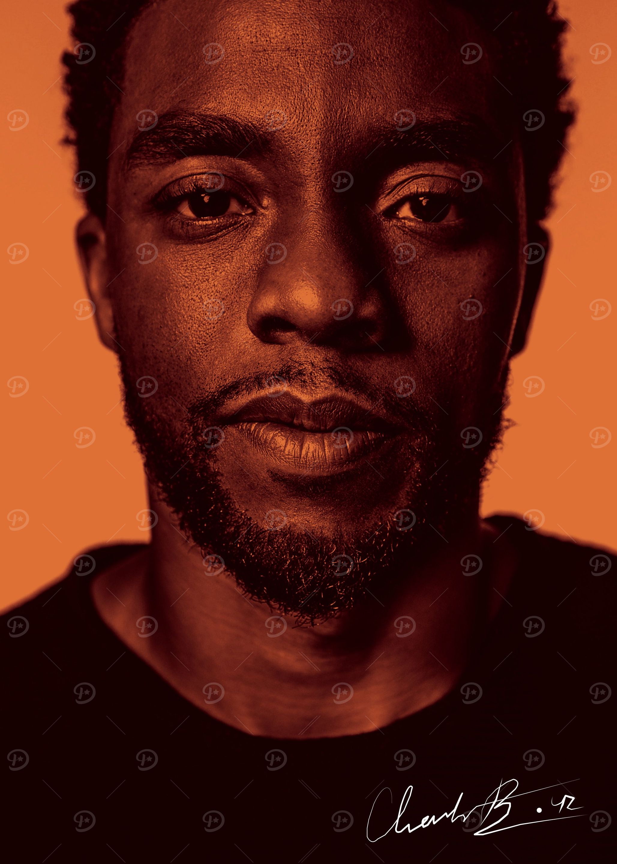 orange chadwick
