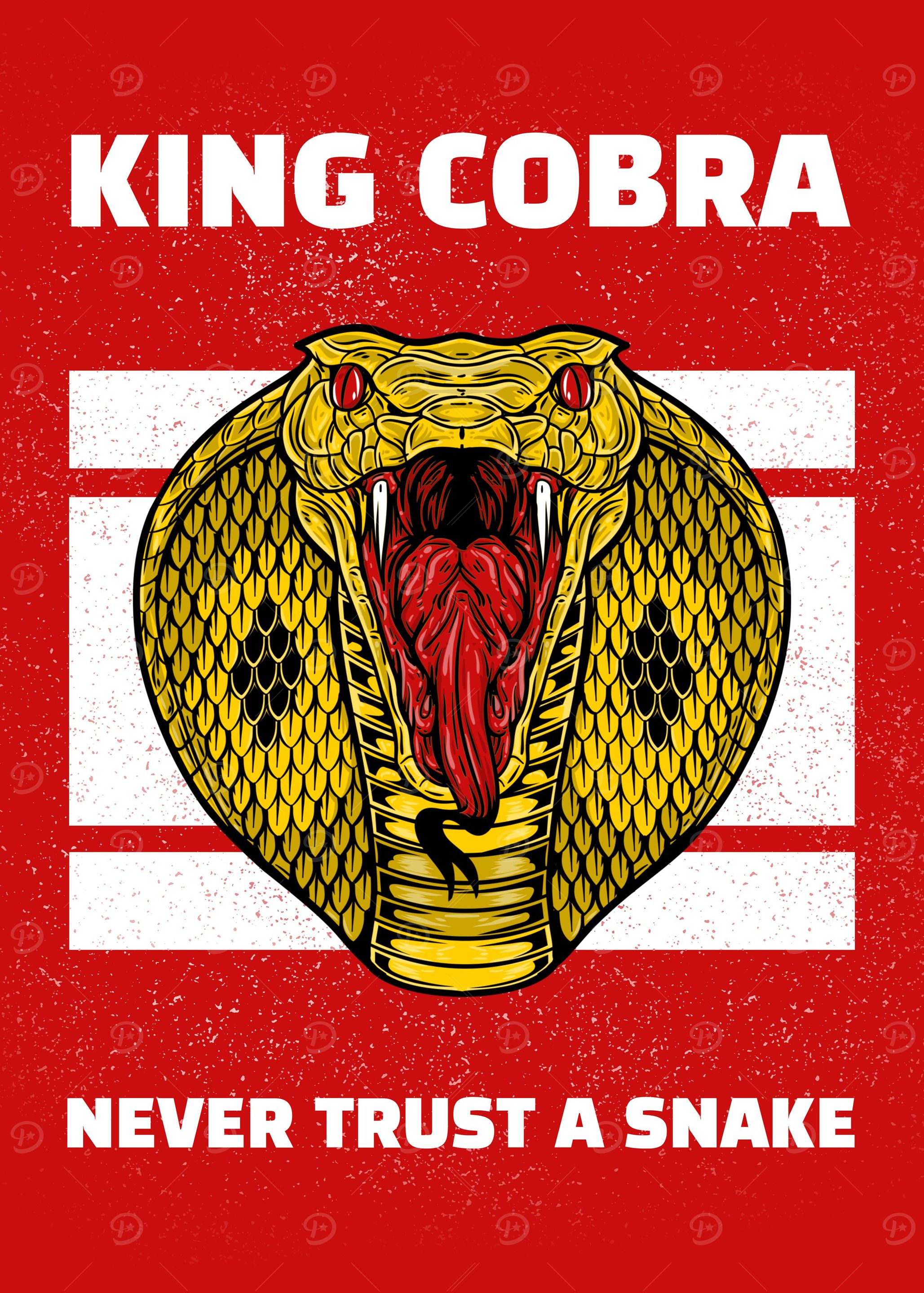 Angry Snake Cobra Animal