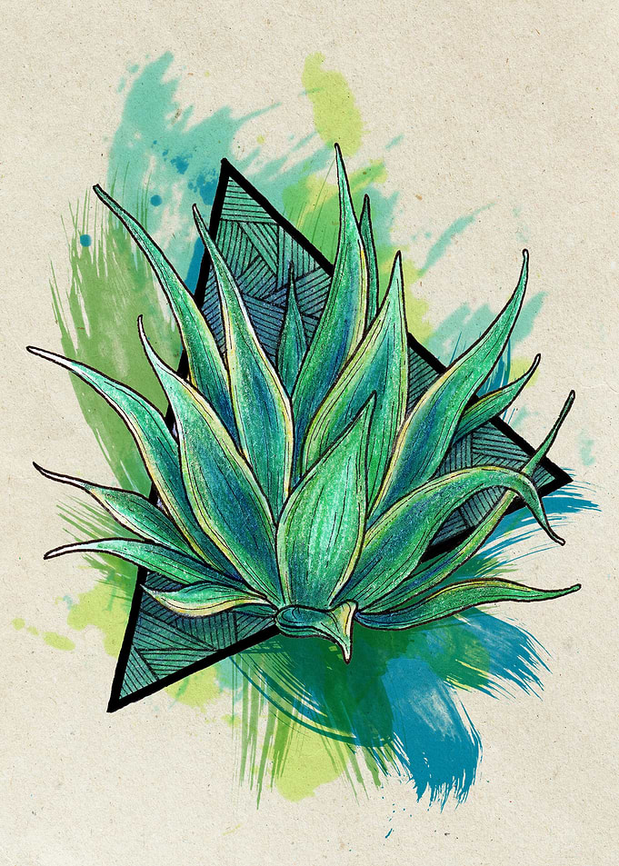 Aloe Vera Light