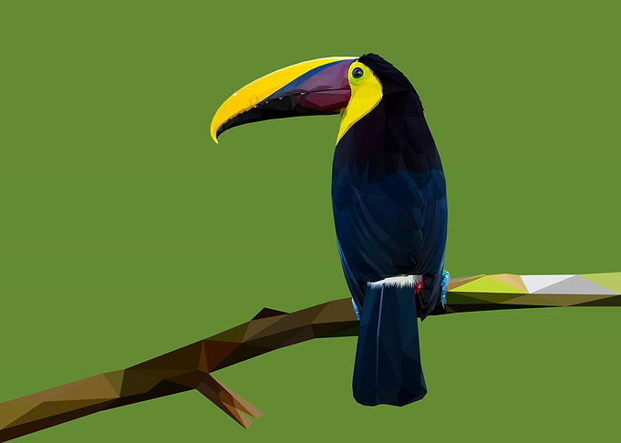 Toucan Bird Lowpoly