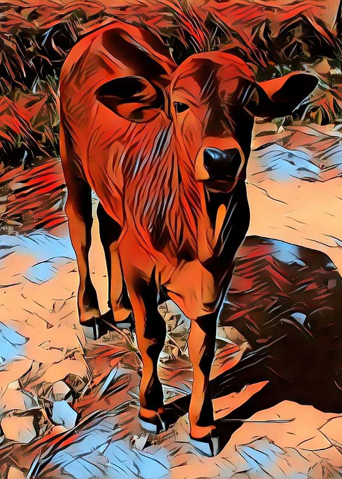 Hi