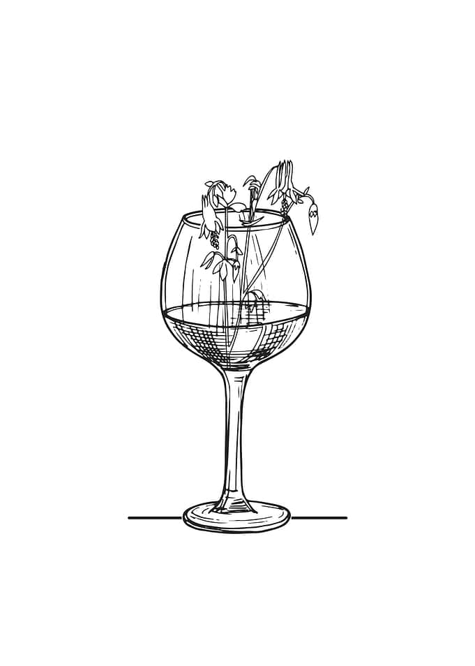 Plants Hate Wine