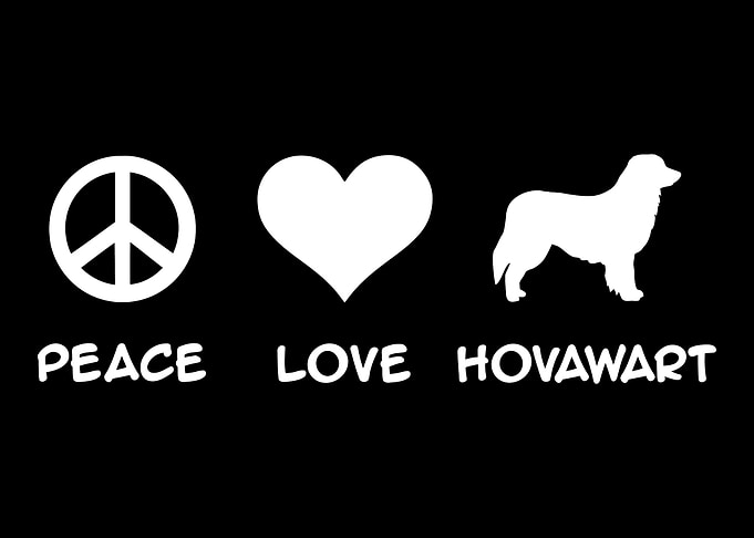 Hovawart