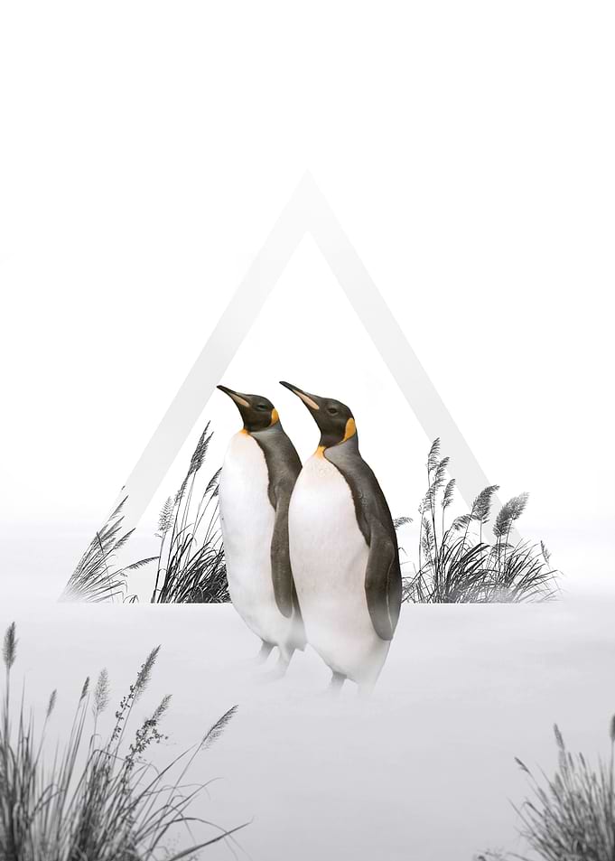 Penguins