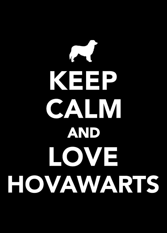 Hovawart