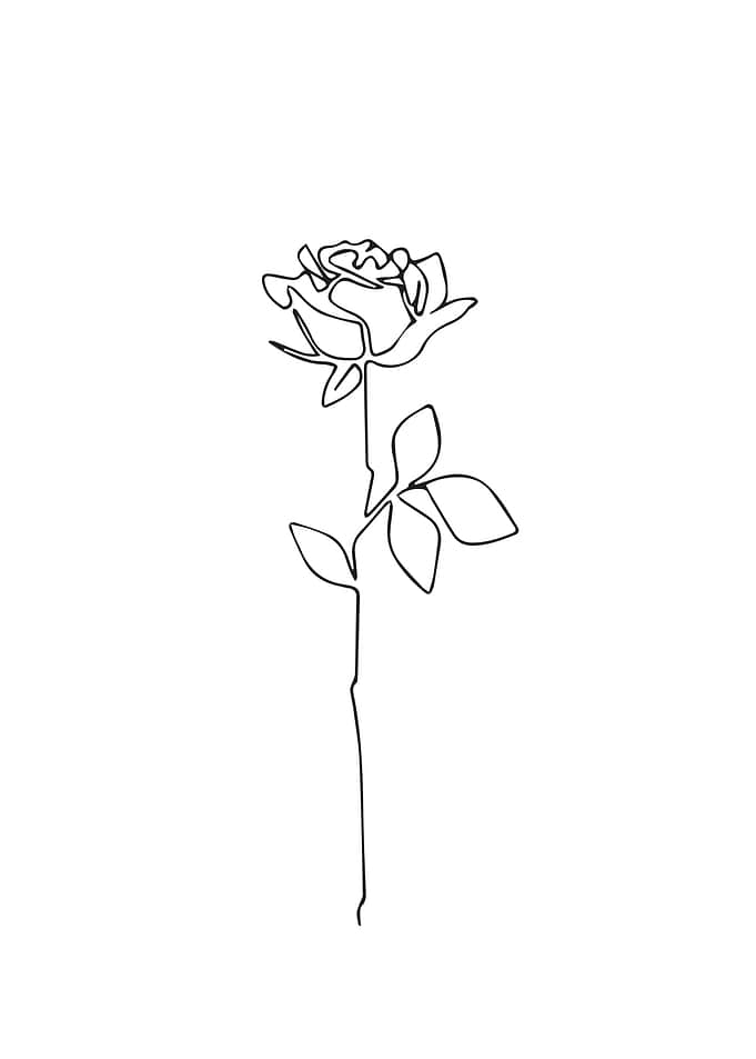 Rose Flower One Line