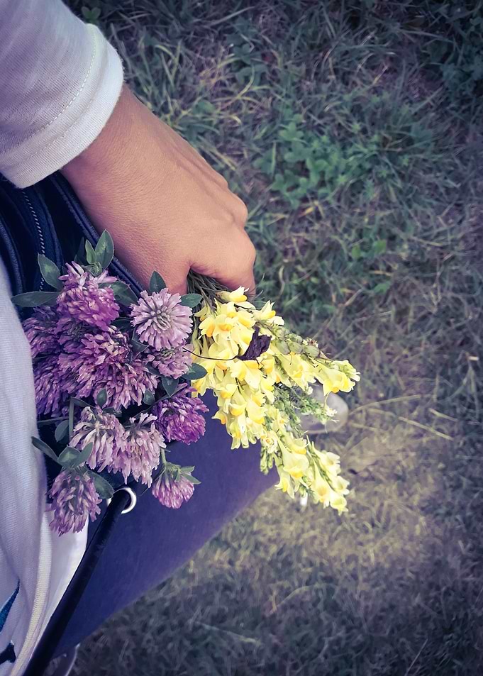 First day of Autumn