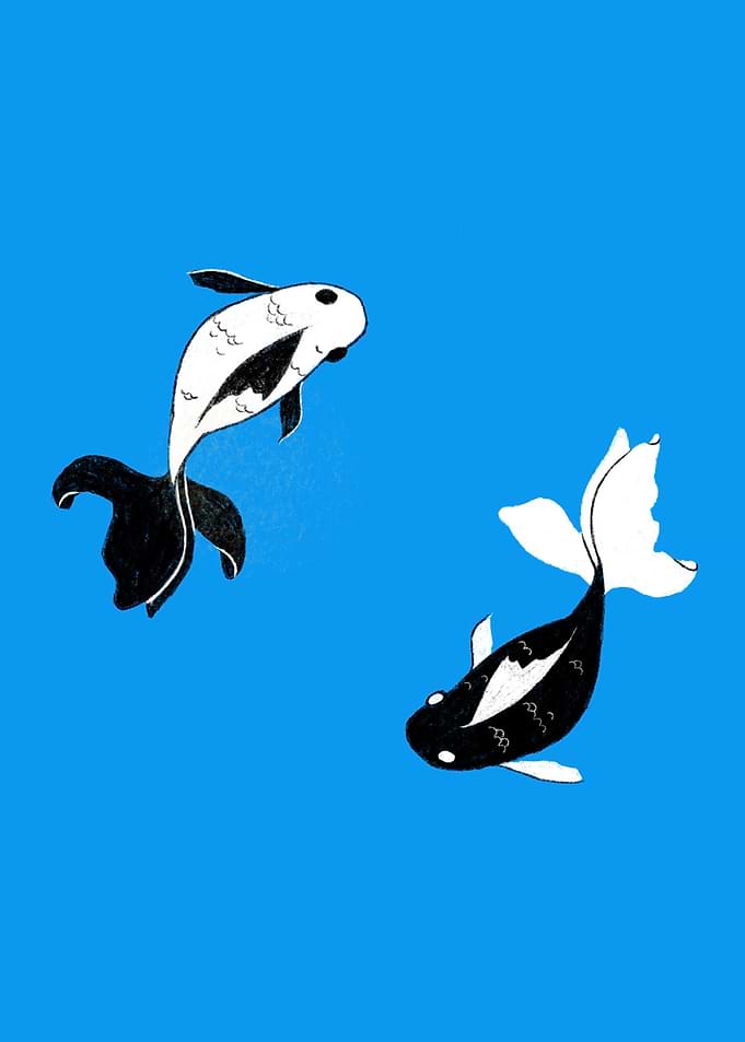 Yin Yang