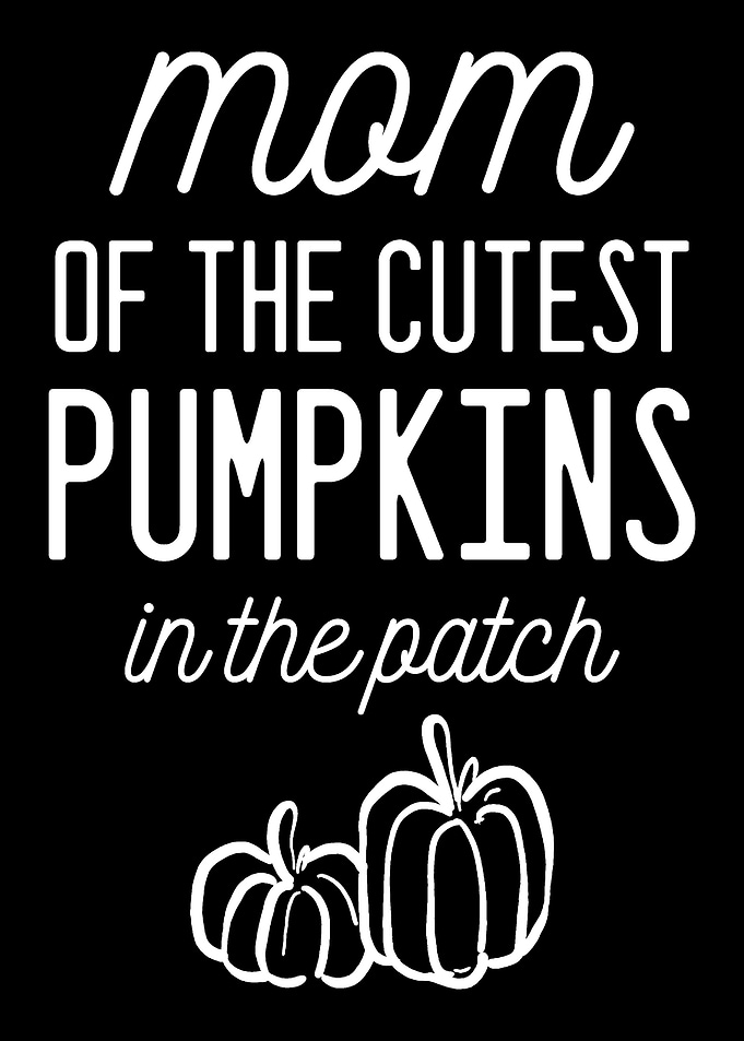 Mother Pumpkin Loving Moth