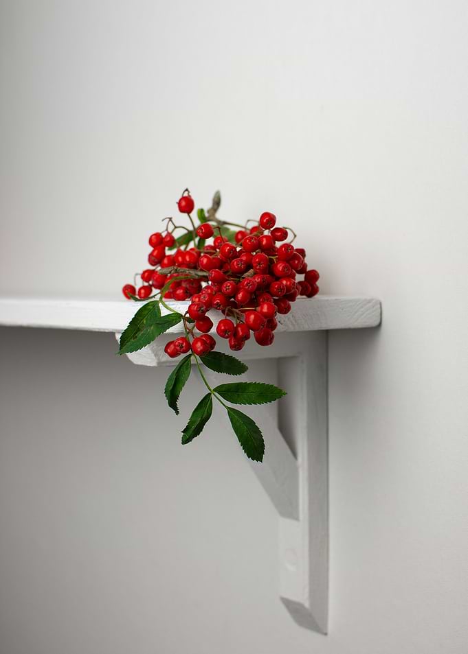 Rowan berries
