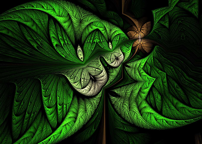Deep Roots