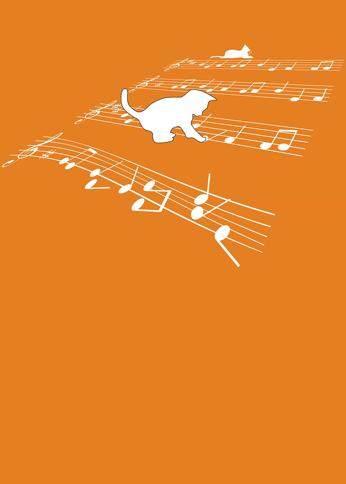 When Cats Make Music