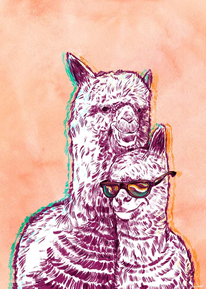 Rocking Alpacas