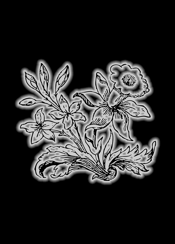 daffodil