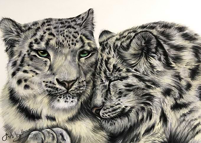 Snow Leopards