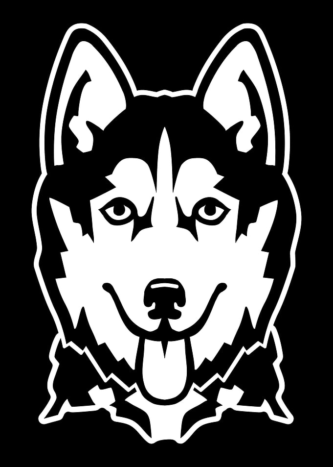 Husky