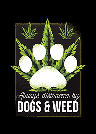 Distracted by Dogand Weed