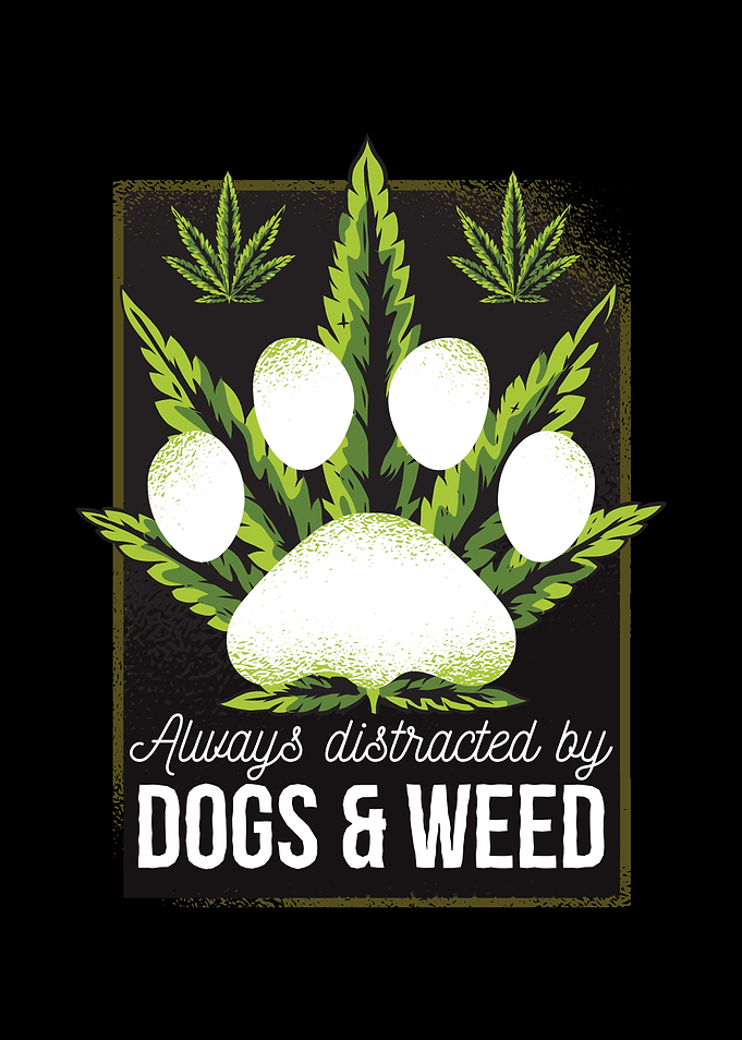 Distracted by Dogand Weed