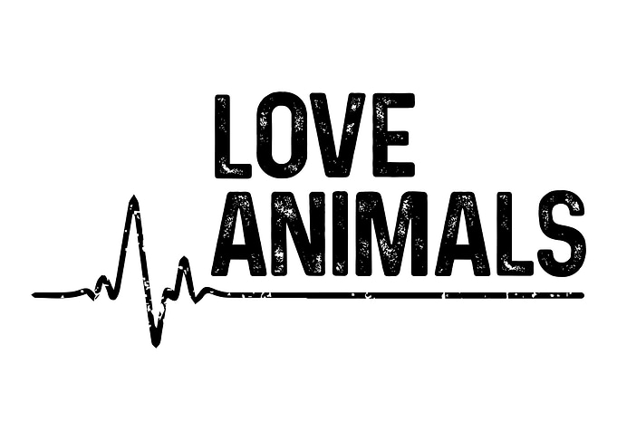 Animal gift
