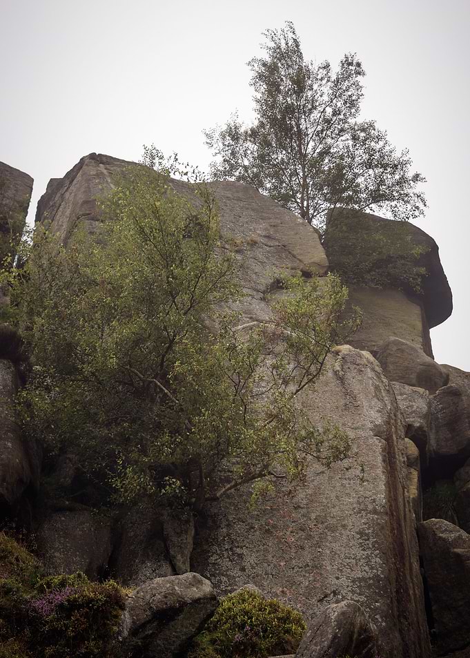 Ilkley Moor Landscape