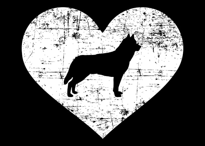 Husky