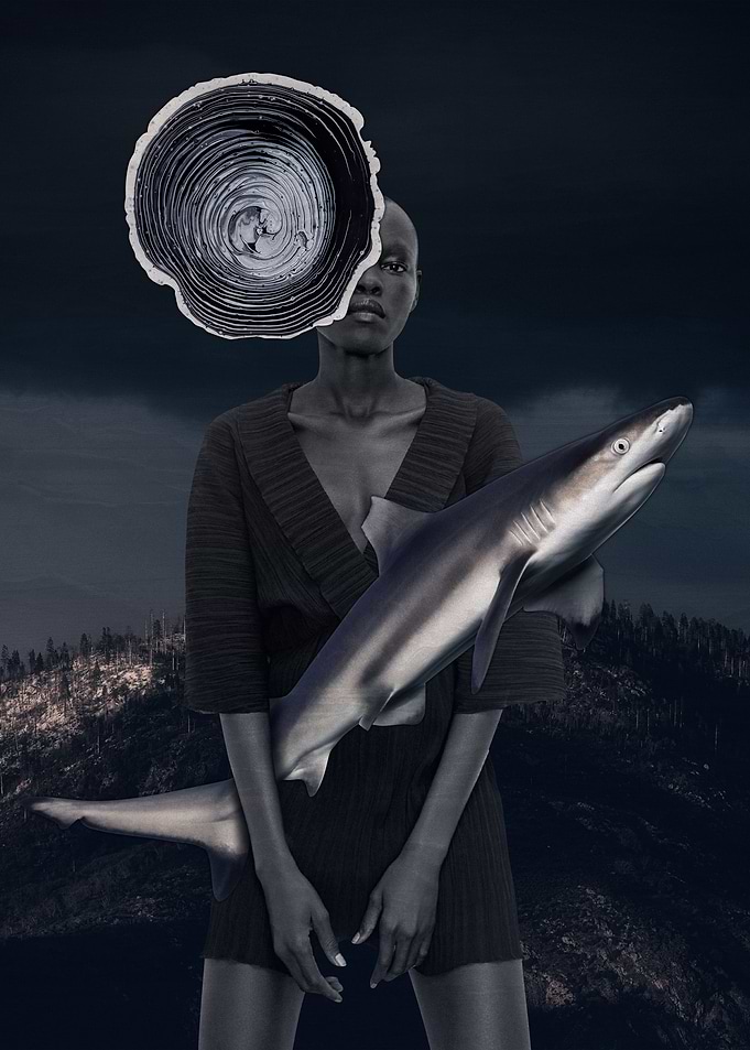Shark Fairy
