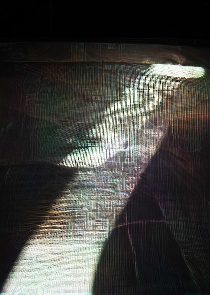 Quantum universe