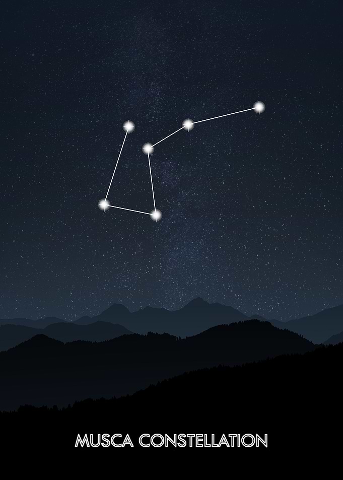 Musca Constellation