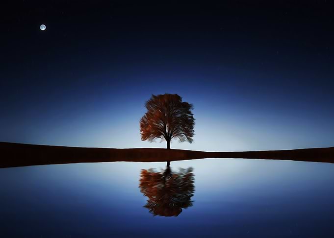 Lone Tree