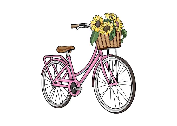 Womens Bike Basket Flowers