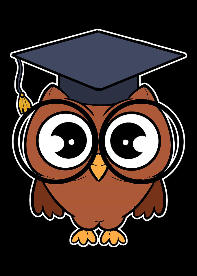 Owl Smart Graduation Owl O